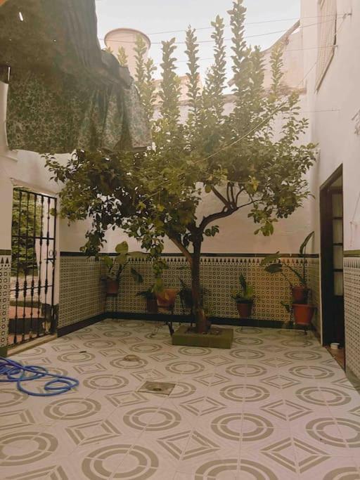 La Casa De Manolita Villa Баена Екстериор снимка
